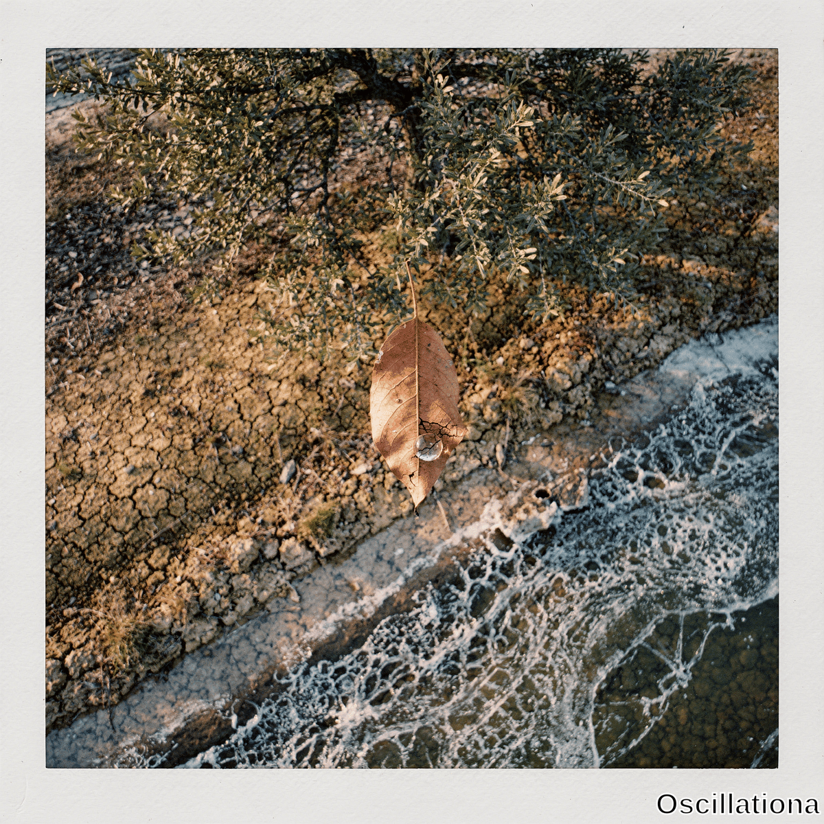 A dry leaf with a spherical water droplet rests on cracked earth beside flowing water with foam under overhanging green shrub in golden sunlight. 
The composition contrasts drought with motion in warm light.