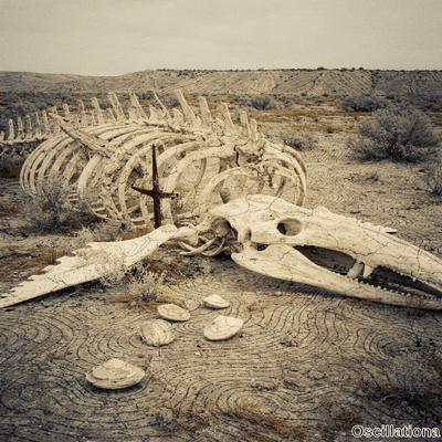 A sepia image of weathered whale skeleton on desert with skull in front, five white seashells, rusted cross among ribs with hills in distance.
.