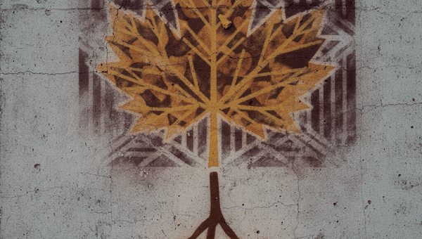 Stylized maple leaf tree in yellow orange and ochre on concrete wall with glowing roots lit by yellow lights below and geometric burgundy maze pattern.
.