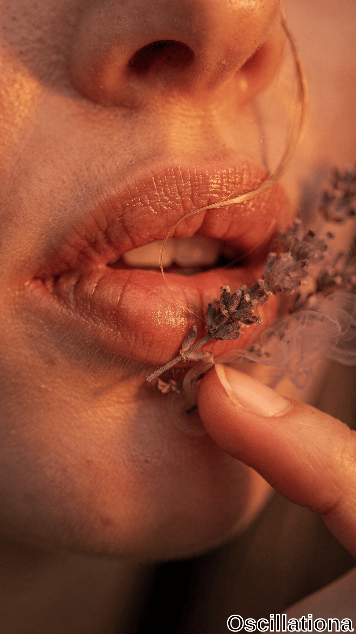 A macro shot of parted lips holding a small lavender flower touched by a fingertip, with delicate smoke swirling under warm golden light.