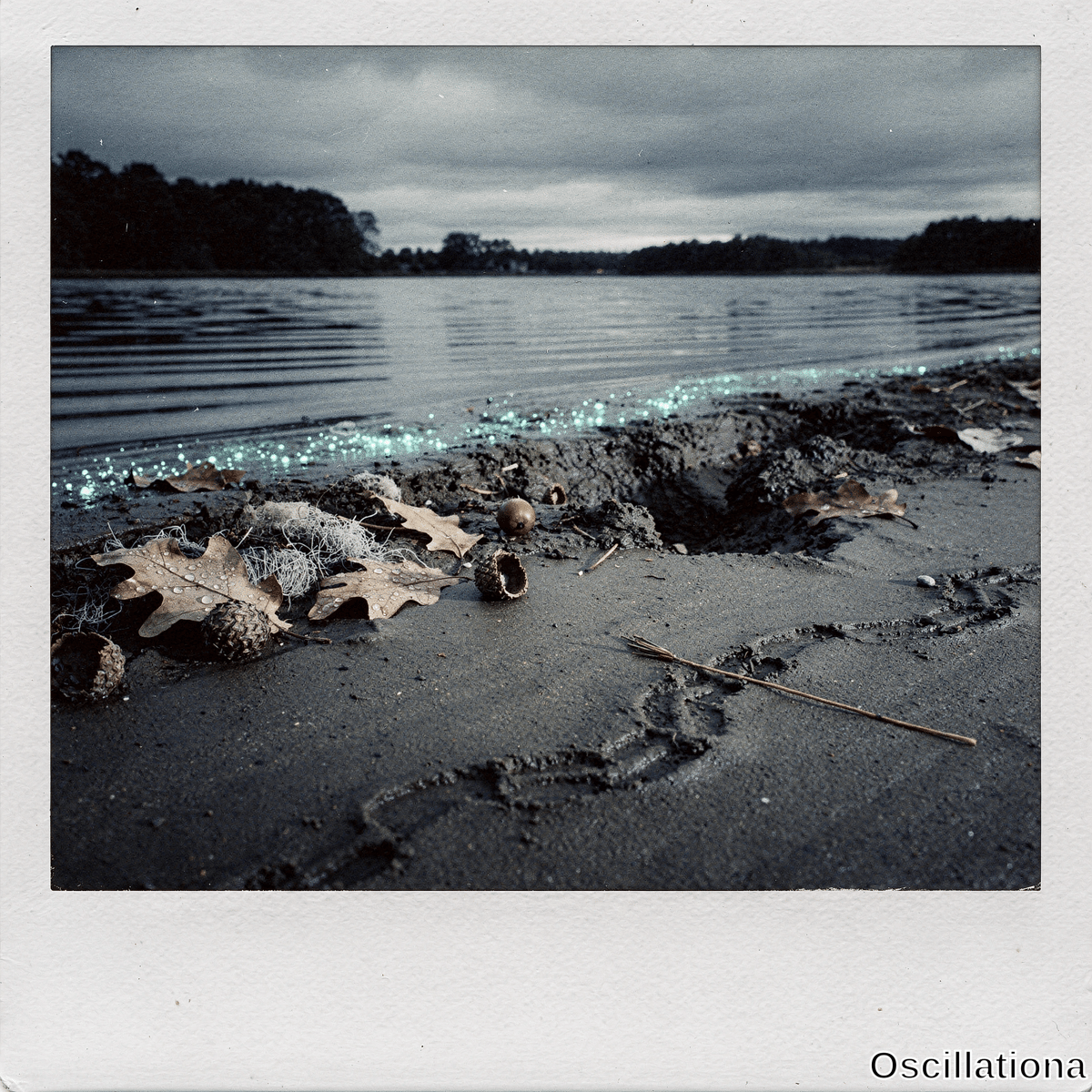 Moody lakeshore with dark sand and oak leaves, acorns, debris leading to cyan bioluminescent water edge under overcast sky with distant silhouettes.
.
